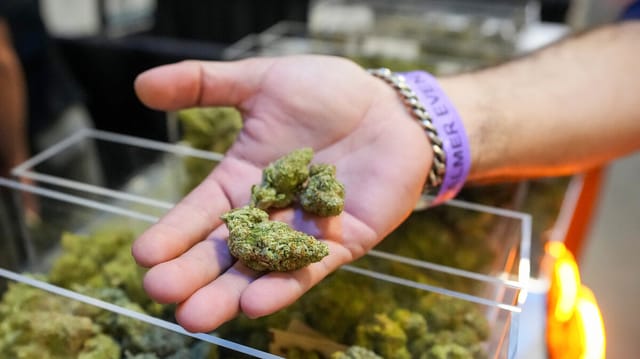 Trump Moves Marijuana from Schedule I to Schedule III Drug Classification