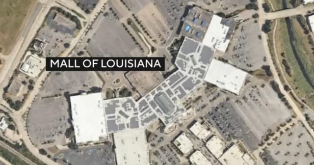 Mall of Louisiana Shooting Injures 10 in Baton Rouge Group Fight