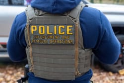 Trump Administration Prepares Workplace Immigration Raids Despite Record Deportations