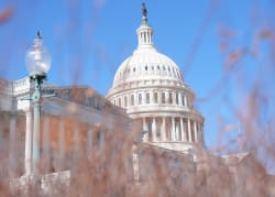 House Ends 75-Day DHS Shutdown — ICE, Border Patrol Split Off