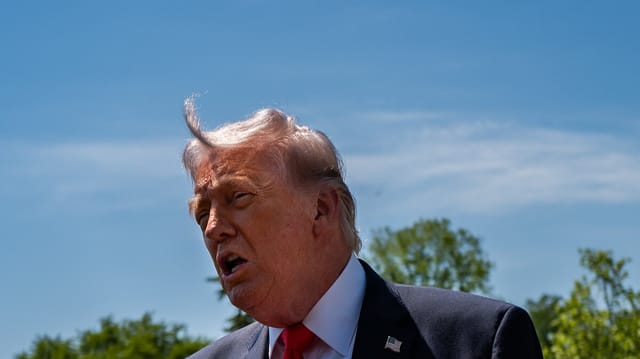 Trump's D.C. 'Garden of Heroes' Balloons to 250 Statues With Reflecting Pools