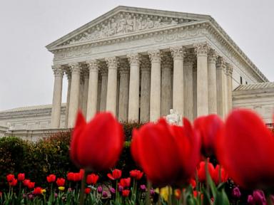 Alabama, Tennessee Rush New District Maps After Supreme Court Guts Voting Rights