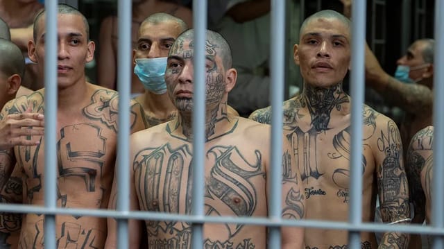 Feds Charge 25 Tren de Aragua Members — Seize 80+ Guns, $100K Cash